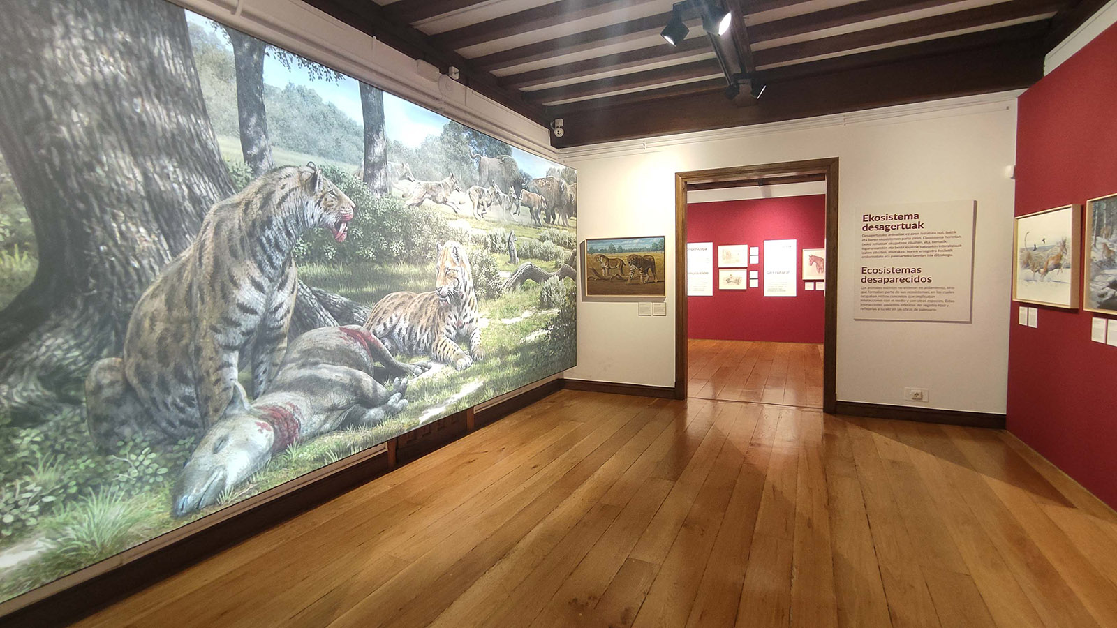 2023_MuseoLaboratorium-vista-3 pared retroiluminada en Bergara