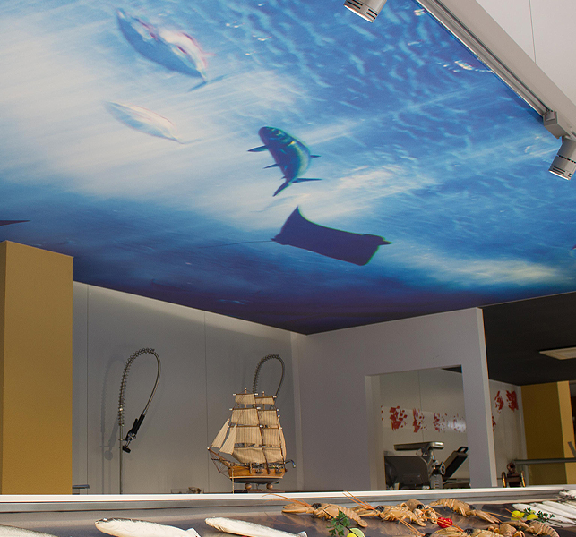 Sabaitek-techos-personalizados-clipso techos personalizados por Sabaitek