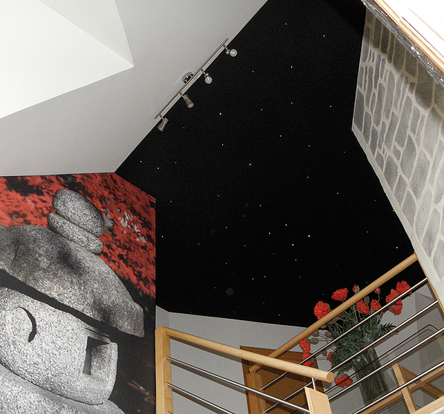 OLYMPUS DIGITAL CAMERA techos estrellados con tecnología Clipso, por Sabaitek